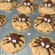 Peanut Butter Spider cookies on a baking tray - Pure Maple